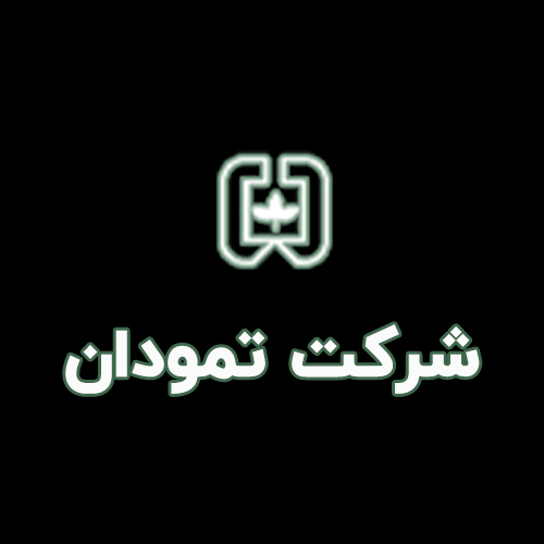 لوگوی شرکت تمودان
