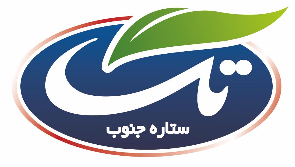 لوگوی شرکت تک ستاره جنوب