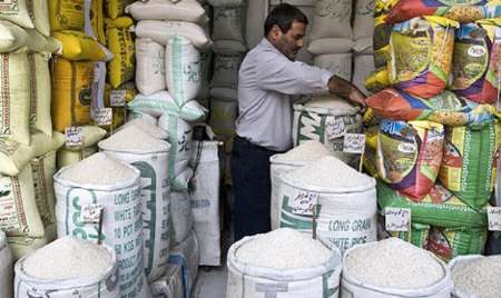 اقبال عمومی به مصرف برنج داخلی/ نیازی به واردات نیست