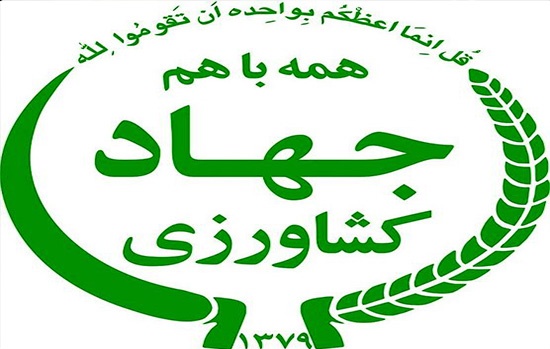 تقویت امنیت غذایی و پایداری کشاورزی سیاست راهبردی در وزارت جهاد کشاورزی