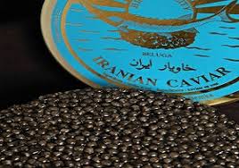 تولید خاویار پرورشی در حد شعار باقی ماند/بازار محصولات شیلاتی تعریفی ندارد
