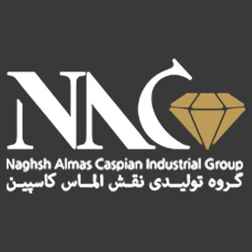 لوگوی شرکت نقش الماس کاسپین