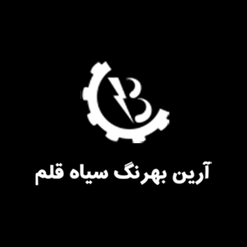 لوگوی شرکت آرین بهرنگ سیاه قلم