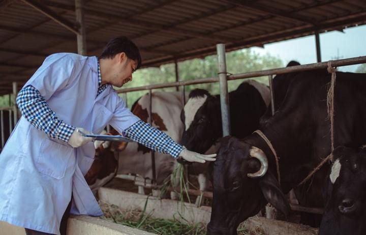 ایران محور تحقیقات دامپروری جهان اسلام شد
