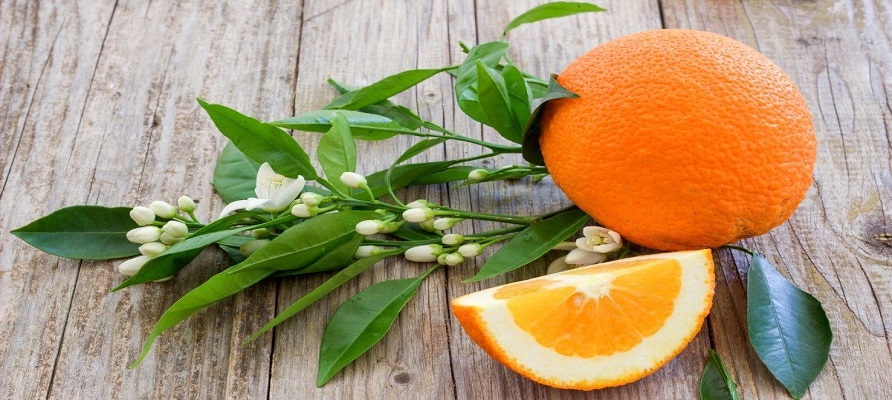 چرا نباید از مصرف نارنج غافل شد؟