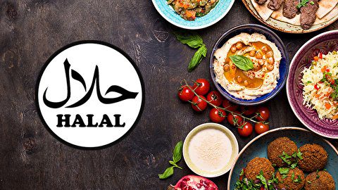 همکاری ایران و پاکستان در صنعت حلال