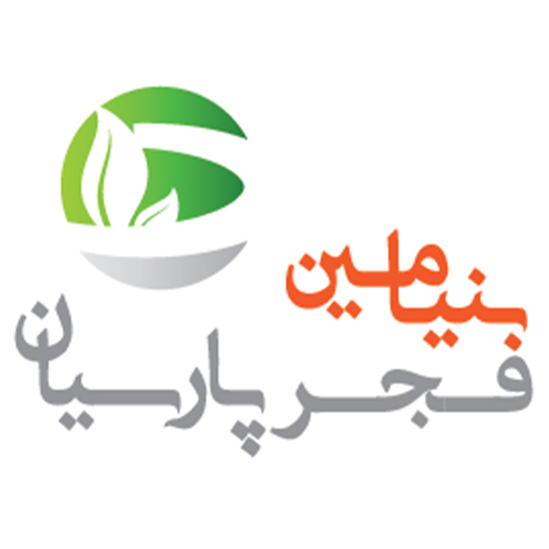 لوگوی شرکت بنیامین فجر پارسیان