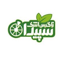 لوگوی شرکت زاگرس اشک سپیدان