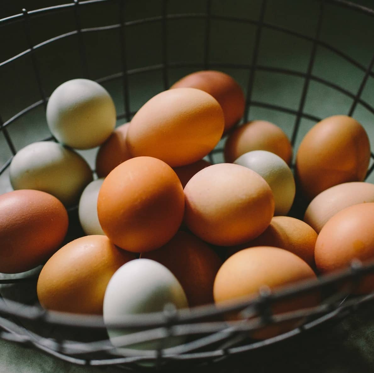 نرخ هر کیلو تخم مرغ و مرغ زنده اعلام شد