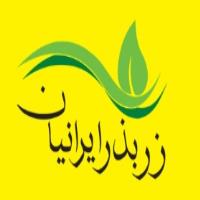 لوگوی شرکت زر بذر ایرانیان