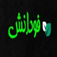 لوگوی فودانش