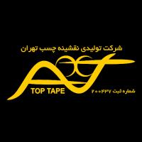 لوگوی شرکت هولدینگ تولیدی نقشینه چسب تهران و نقشینه چسب کیمیا
