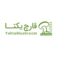 لوگوی شرکت قارچ یکتای سپاهان
