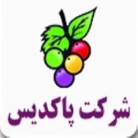 لوگوی شرکت پاکدیس