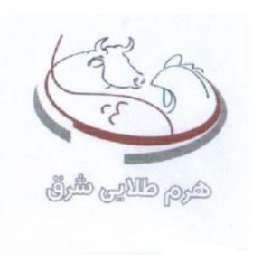 لوگوی شرکت خوراک دام و طیور هرم طلایی شرق