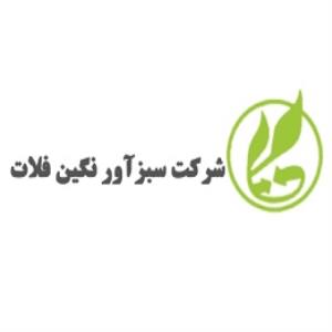 لوگوی سبز آور نگین فلات