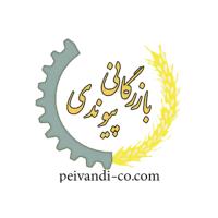 لوگوی شرکت بازرگانی پیوندی