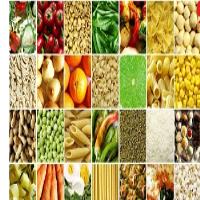 قیمت جهانی گندم، خوراک دام و دانه های روغنی تا 65 درصد افزایش یافت.