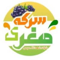 لوگوی شرکت شهد تاک سیس