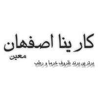 لوگوی شرکت کارینا اصفهان