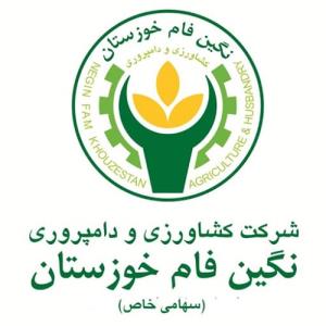 شرکت نگین فام خوزستان