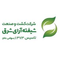 لوگوی شرکت شیفته آرای شرق 