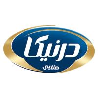 لوگوی شرکت دانش بنیان کوشا فیدار آدلی - درنیکا طلایی 
