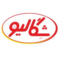 لوگوی شرکت شگالیو