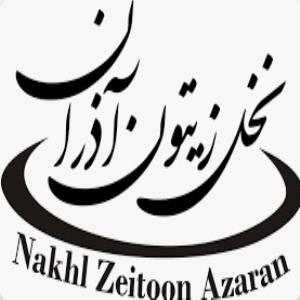 لوگوی شرکت نخل زیتون آذران