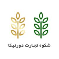 لوگوی شرکت شکوه تجارت دورنیکا