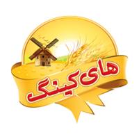 لوگوی شرکت وند سیستم نوین 