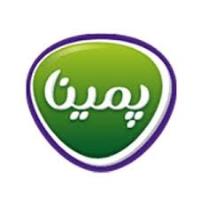 لوگوی شرکت پمینا