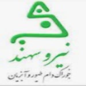 لوگوی شرکت نیرو سهند