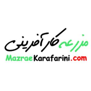 لوگوی گروه مزرعه کارآفرینی