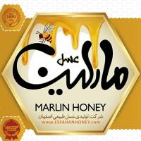 لوگوی شرکت تولیدی عسل طبیعی اصفهان