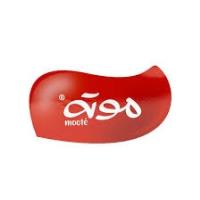 لوگوی شرکت دایان برتر آرنا 