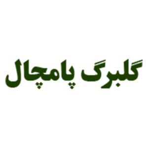 لوگوی شرکت گلبرگ پامچال