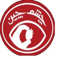 لوگوی شرکت چشم چین