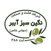 لوگوی شرکت کشت و صنعت نگین سبز آببر