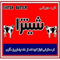 لوگوی شرکت شیتزا