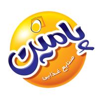 لوگوی شرکت پارس آیلین مهر