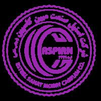 لوگوی شرکت استیل صنعت مبین کاسپین