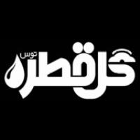 لوگوی شرکت گل قطره توس
