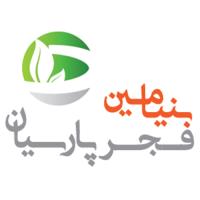 لوگوی شرکت بنیامین فجر پارسیان