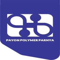 لوگوی شرکت پایون پلیمر پرنیا